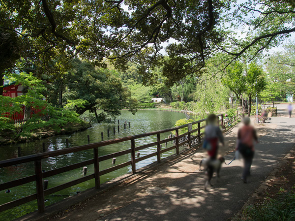 Surrounding environment. Senzokuike park (about 840m / 11-minute walk)
