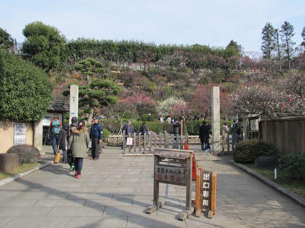 park. 700m to Ikegami plum garden park