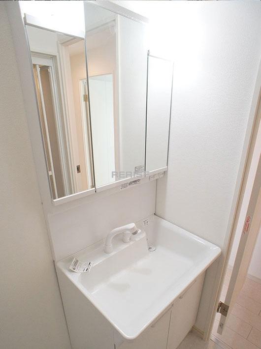 Wash basin, toilet. Vanity with a shower head