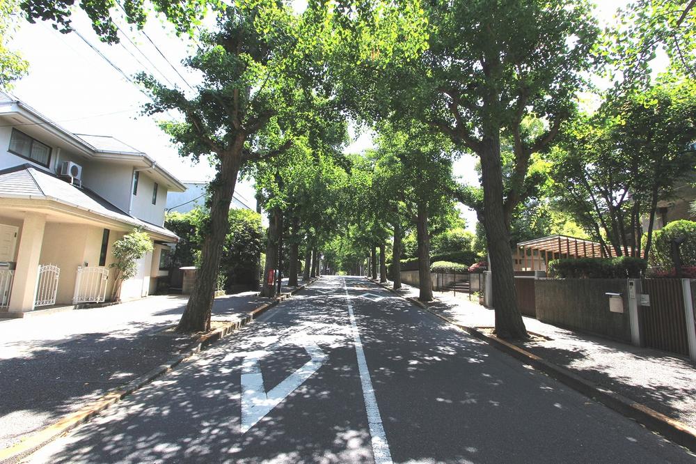 Streets around. 300m until the rooftops of Denenchofu