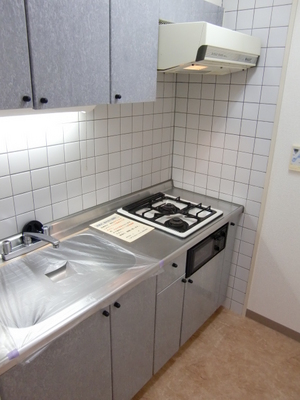 Kitchen. System with grill Gasukitchin