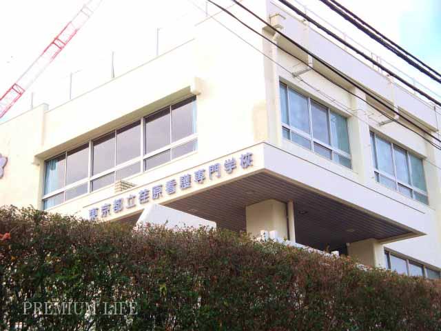 Other local. Tokyo Metropolitan Ebara nursing school