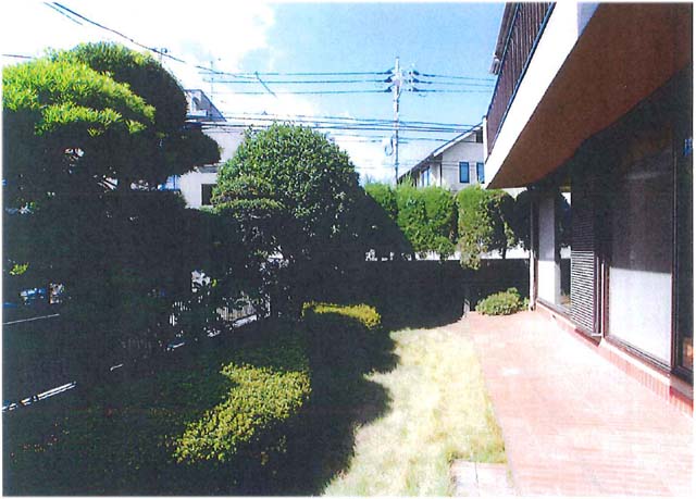 Balcony. Veranda