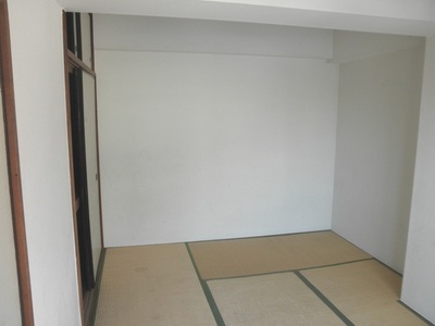 Living and room. Japanese-style rooms