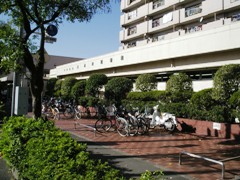 library. 309m to Ota Ward Omorihigashi Library (Library)