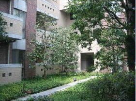 Garden. courtyard