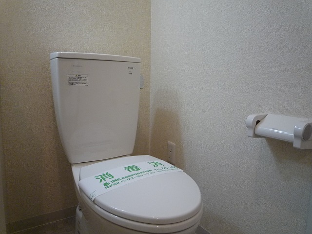 Toilet. Washlet consultation