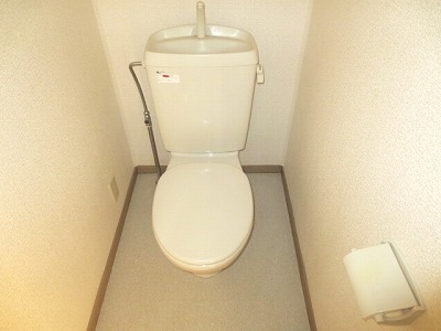 Toilet. Toilet