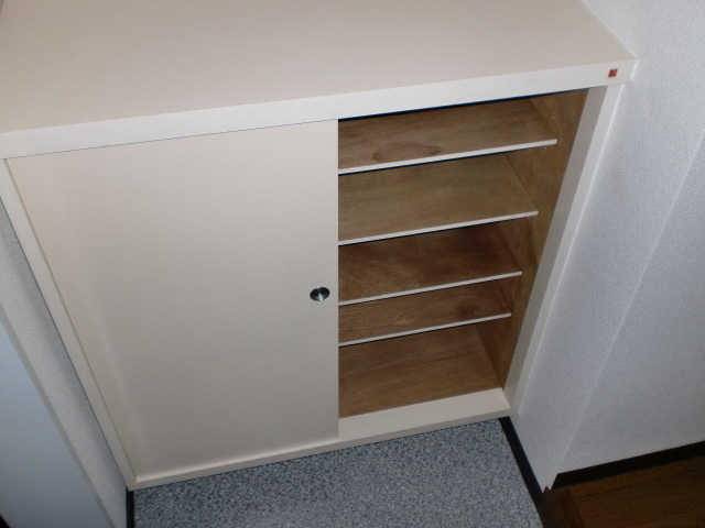 Entrance. Shoe box