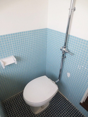Toilet. Toilet