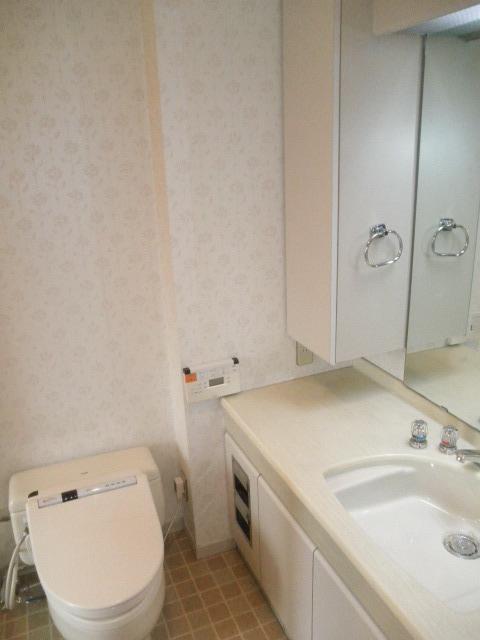 Toilet. The room west of the multi-functional toilet Storage enhancement