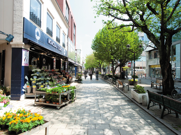 Surrounding environment. "Jiyugaoka" and "Futakotamagawa" is, It is feel free to go out shopping area. Not just useful only, Is living environment that has been decorated in a variety of joy, It's here. (Photo Jiyugaoka "Marie Claire Street" / About 2000m)
