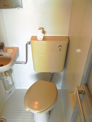Toilet. Toilet