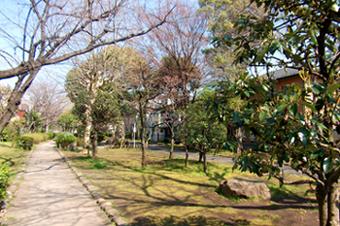 park. 528m from the Old 呑川 green space