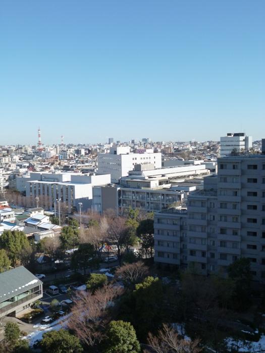 View photos from the dwelling unit. View from the kitchen side. (January 2013) Shooting