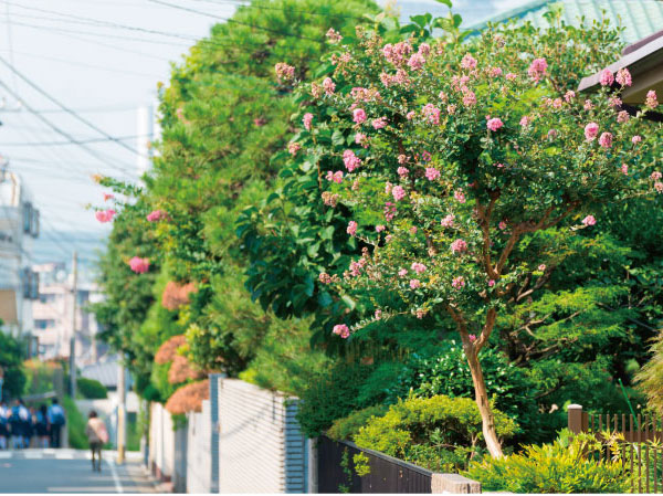 Surrounding environment. Local neighborhood streets (about 350m ・ A 5-minute walk)