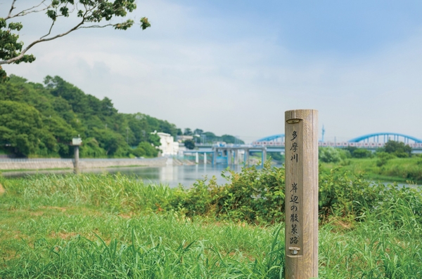 Other. Tama River is going out for a stroll with ease (about 850m). Above all lush Seascapes is exhilaration enough. Also has continued cycling load is on a river. Such weekend I'm looking forward to even ...... a barbecue party in the sometimes dry riverbed inviting friends