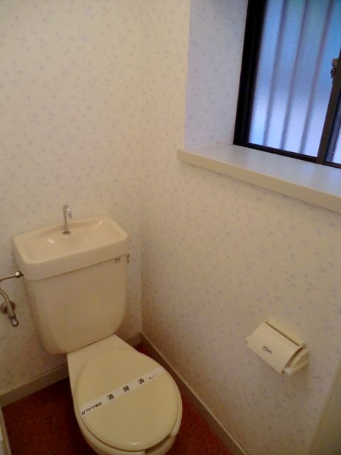 Toilet. There window