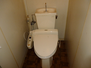 Toilet. Separate reference photograph