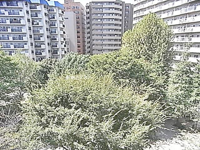 View photos from the dwelling unit