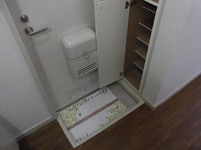 Entrance. Shoes BOX