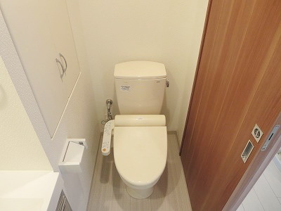 Toilet. Washlet toilet