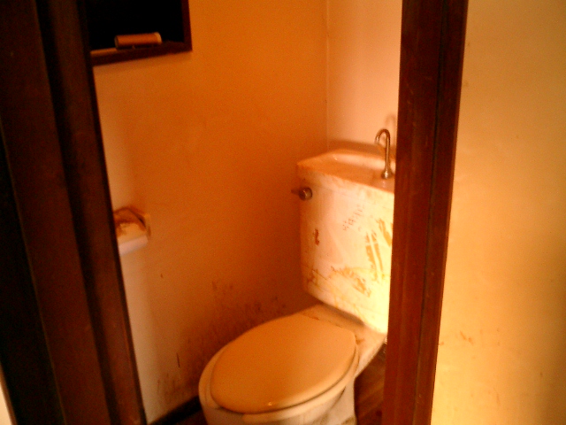 Toilet