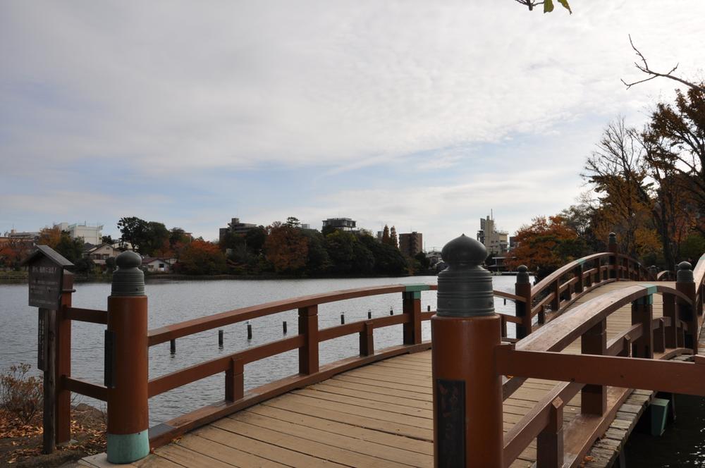 Other. About 350 meters spring to Senzokuike Park Sakura, Fall is a beautiful park of autumn leaves. 