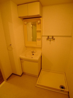 Washroom. Shampoo dresser