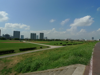 Other. Tama River 290m to green space (Other)