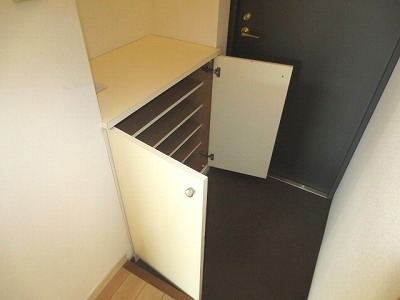 Entrance. Shoe box