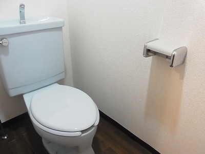 Toilet. Toilet