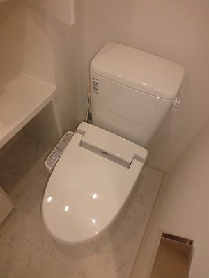 Toilet. With Washlet! 