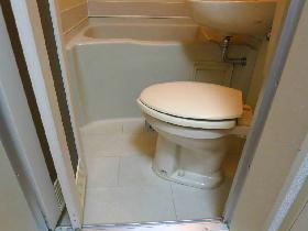 Toilet. It will be the same type of property