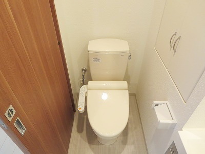 Toilet. Washlet toilet