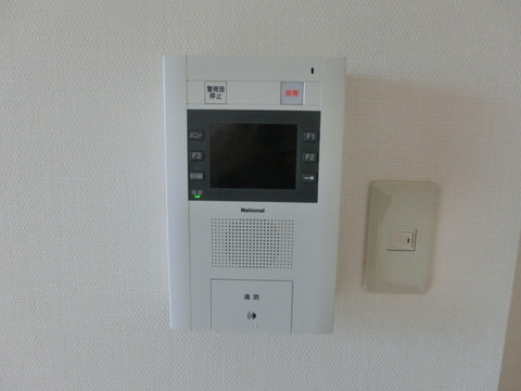 Security. With TV monitor intercom