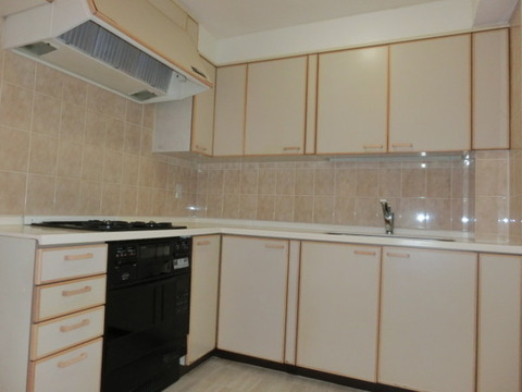 Kitchen. L-shaped kitchen