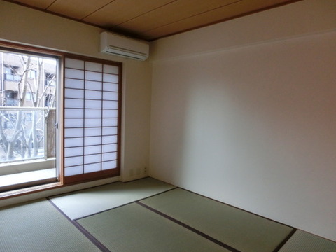 Other room space. Japanese style room