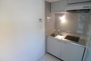 Kitchen. IH stove with 2-neck!