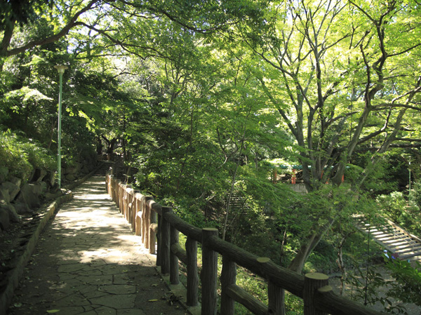 Surrounding environment. Municipal Honmonji park (about 800m ・ A 10-minute walk)