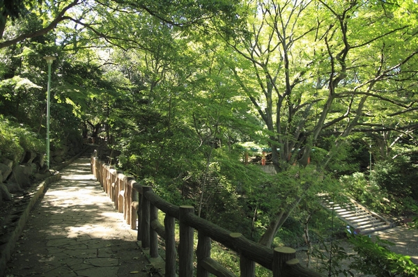 Building structure. "Municipal Honmonji park" (a 10-minute walk ・ About 800m)