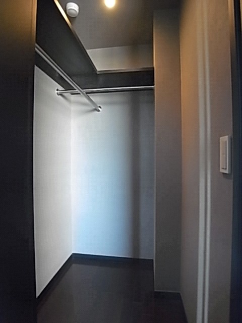 Other. Walk-in closet