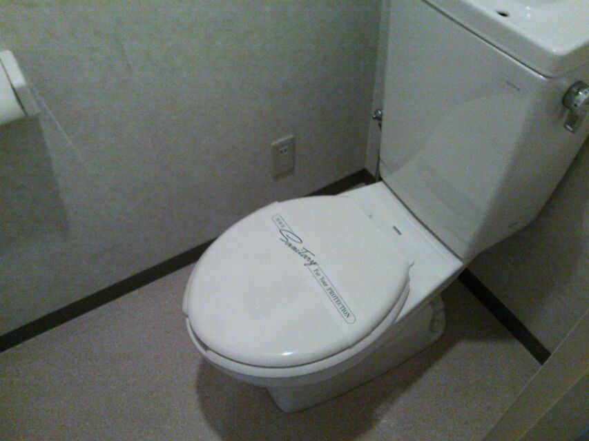 Toilet. Reference photograph