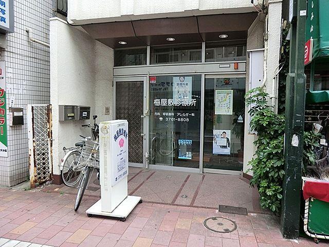Other. Umeyashiki clinic
