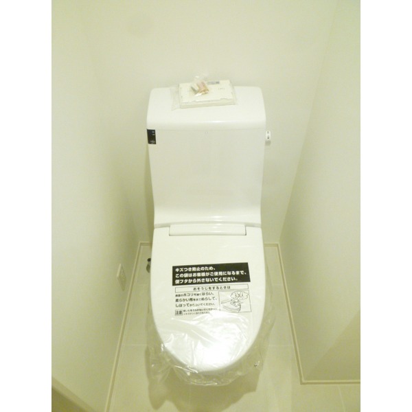 Toilet. Enforcement example