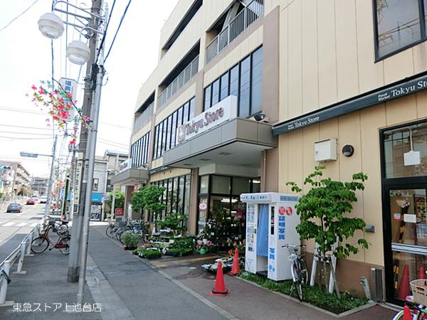 Supermarket. 693m to Tokyu Store Chain Kamiikedai shop