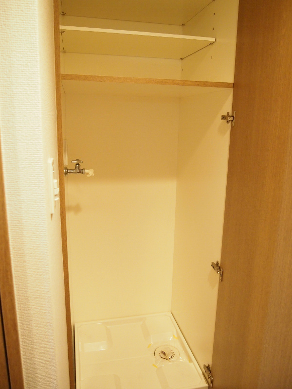 Other. Laundry Area