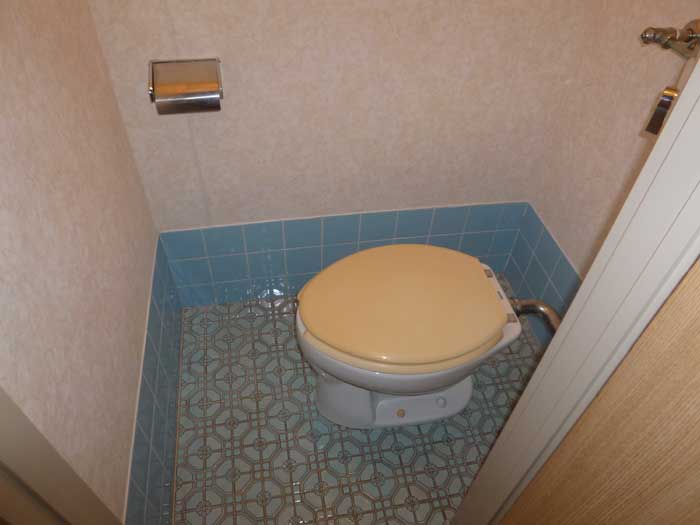 Toilet