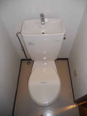 Toilet. Toilet