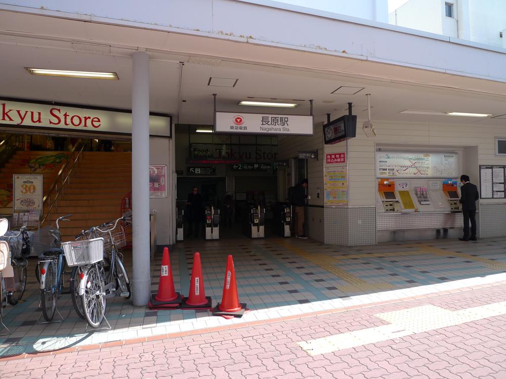 Other. Nagahara Station and Tokyu Store Chain